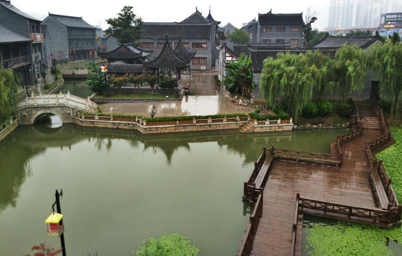 逃离未知丛林